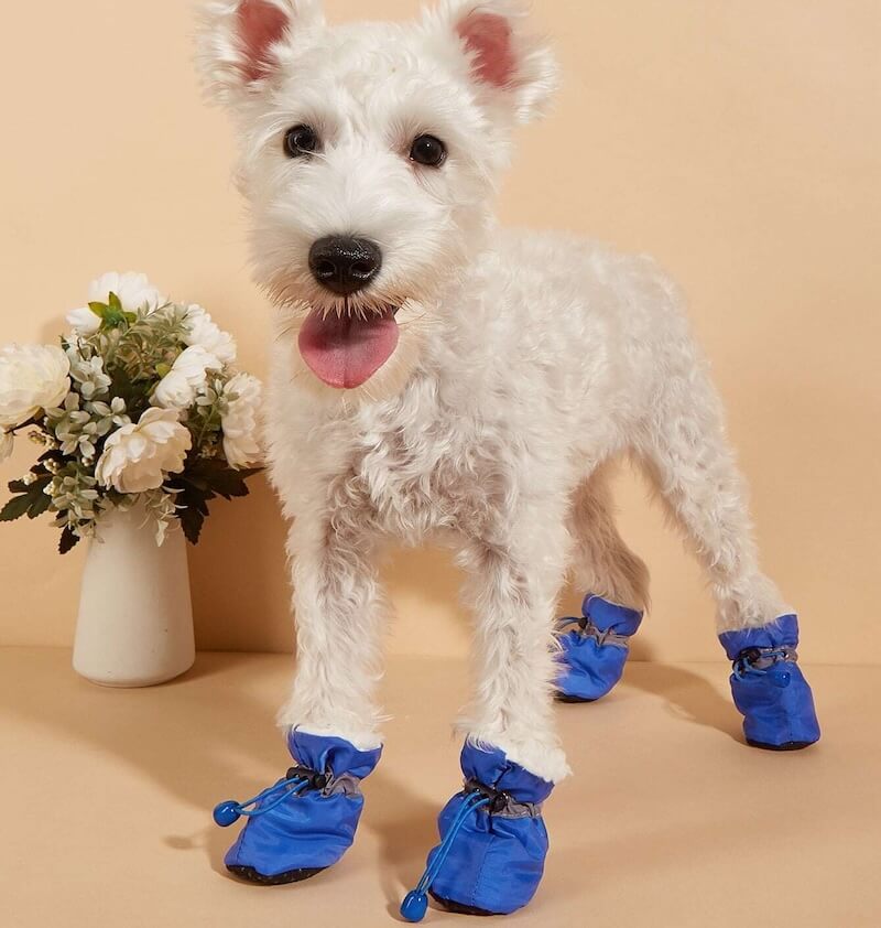 SafePet Shoes™ (FREE Today)