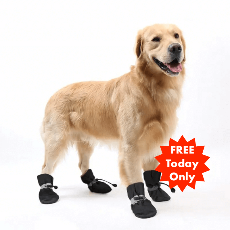 SafePet Shoes™ (FREE Today)