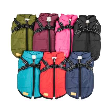 SafePet™ 3 in 1 Jacket + FREE Shoes