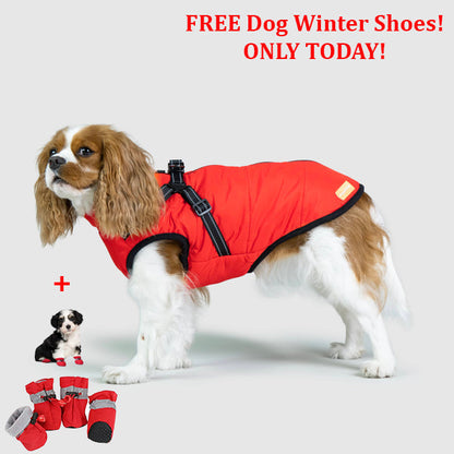 SafePet™ 3 in 1 Jacket + FREE Shoes