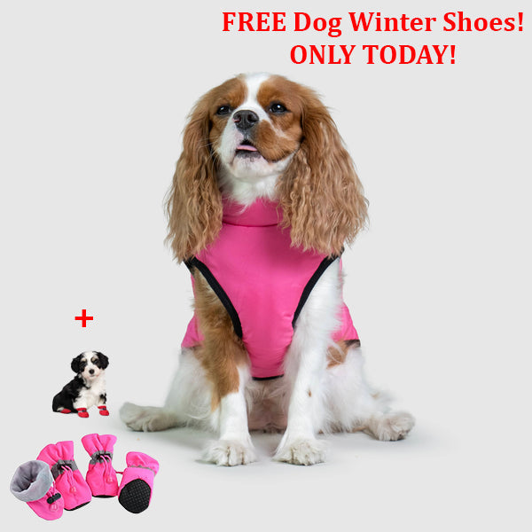 SafePet™ 3 in 1 Jacket + FREE Shoes