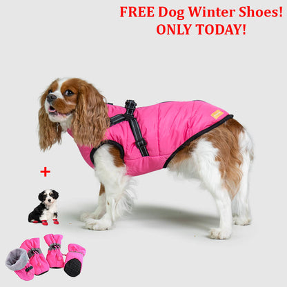 SafePet™ 3 in 1 Jacket + FREE Shoes