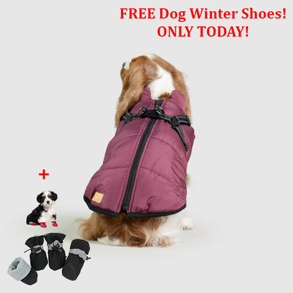SafePet™ 3 in 1 Jacket + FREE Shoes