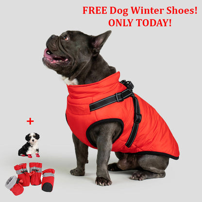 SafePet™ 3 in 1 Jacket + FREE Shoes