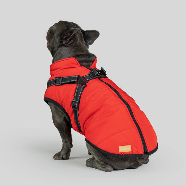 SafePet™ 3 in 1 Jacket + FREE Shoes