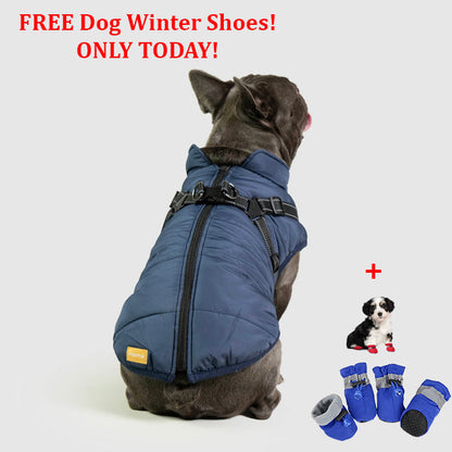 SafePet™ 3 in 1 Jacket + FREE Shoes