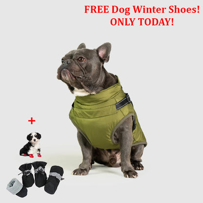 SafePet™ 3 in 1 Jacket + FREE Shoes