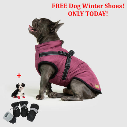 SafePet™ 3 in 1 Jacket + FREE Shoes