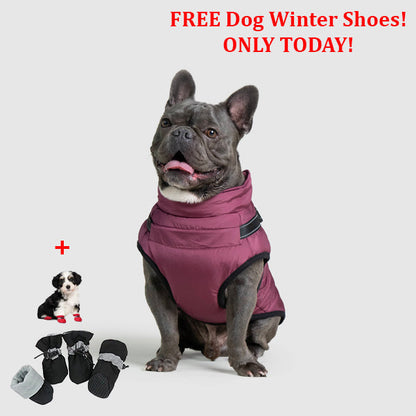 SafePet™ 3 in 1 Jacket + FREE Shoes