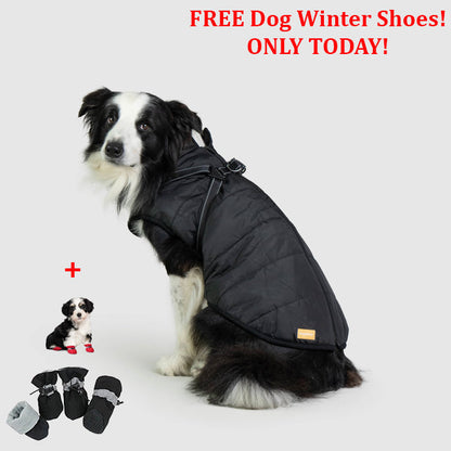 SafePet™ 3 in 1 Jacket + FREE Shoes