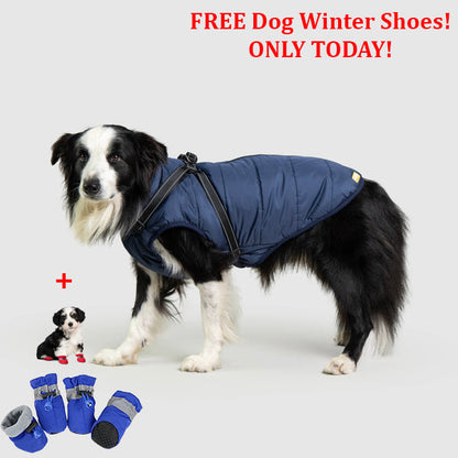 SafePet™ 3 in 1 Jacket + FREE Shoes