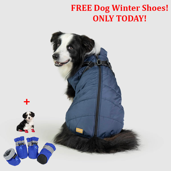 SafePet™ 3 in 1 Jacket + FREE Shoes